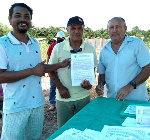 Campo de cultivo orgânico
